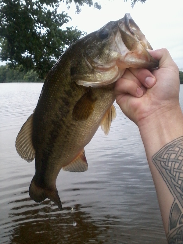 Largemouth